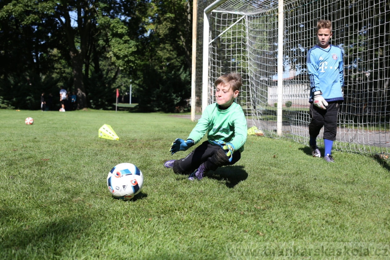 BFŠJCH - Léto 2017 - 30.7.2018