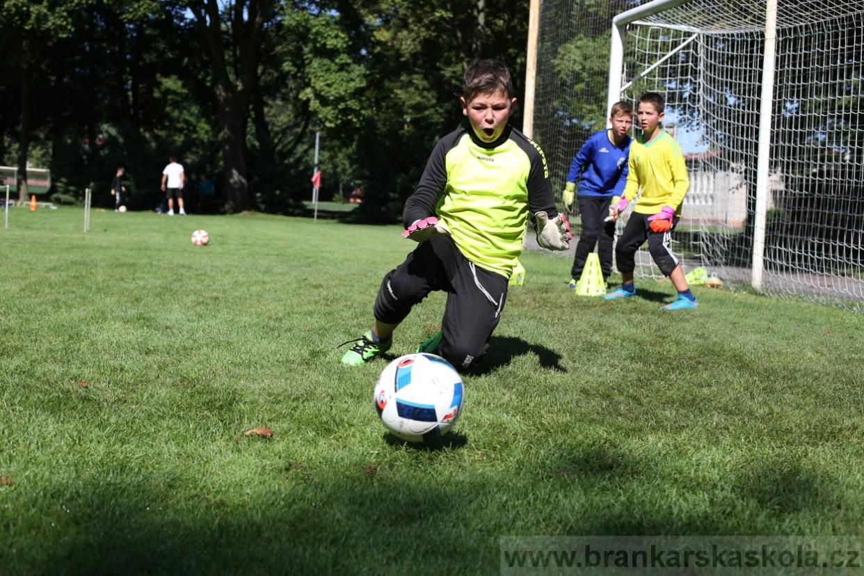 BFŠJCH - Léto 2017 - 30.7.2018