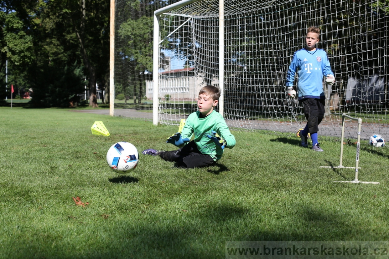 BFŠJCH - Léto 2017 - 30.7.2018