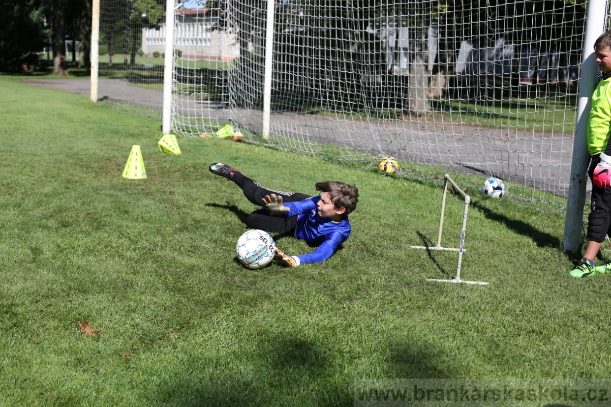 BFŠJCH - Léto 2017 - 30.7.2018