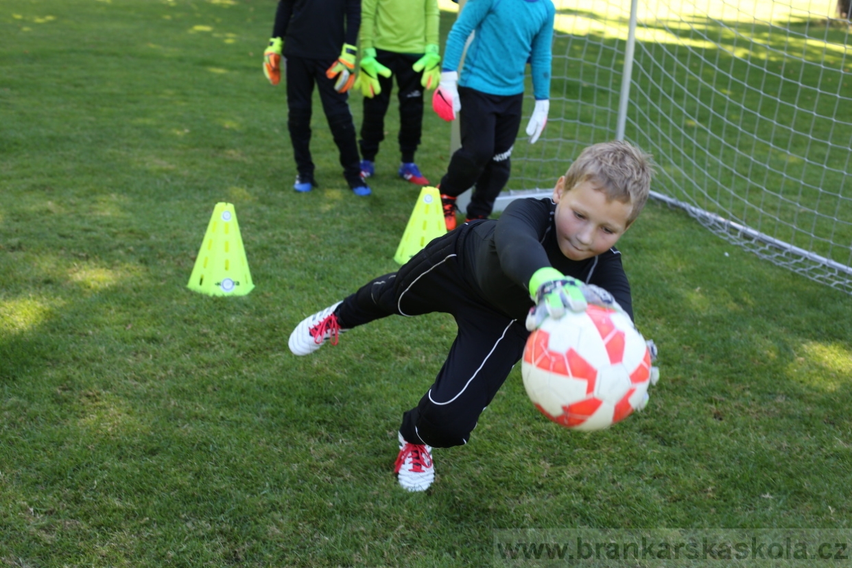 BFŠJCH - Léto 2017 - 30.7.2018