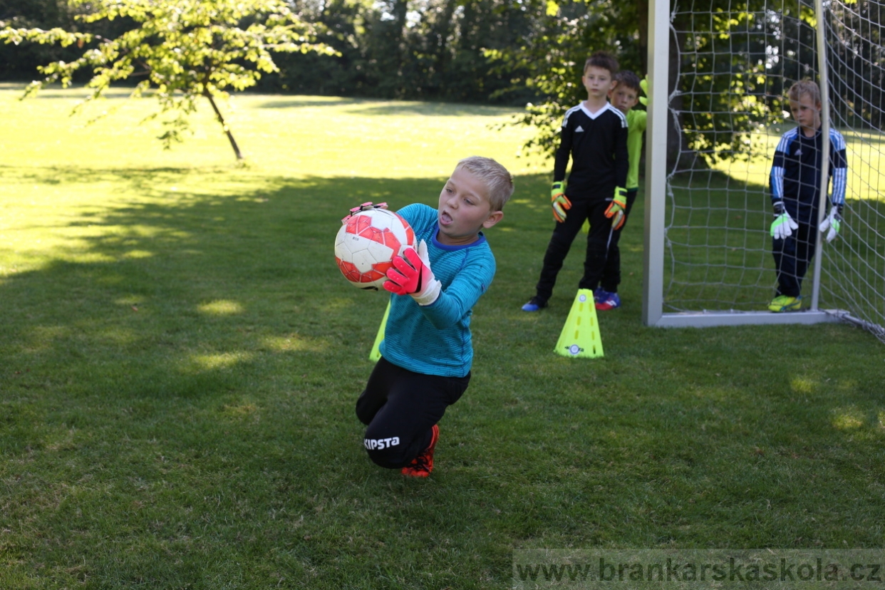 BFŠJCH - Léto 2017 - 30.7.2018