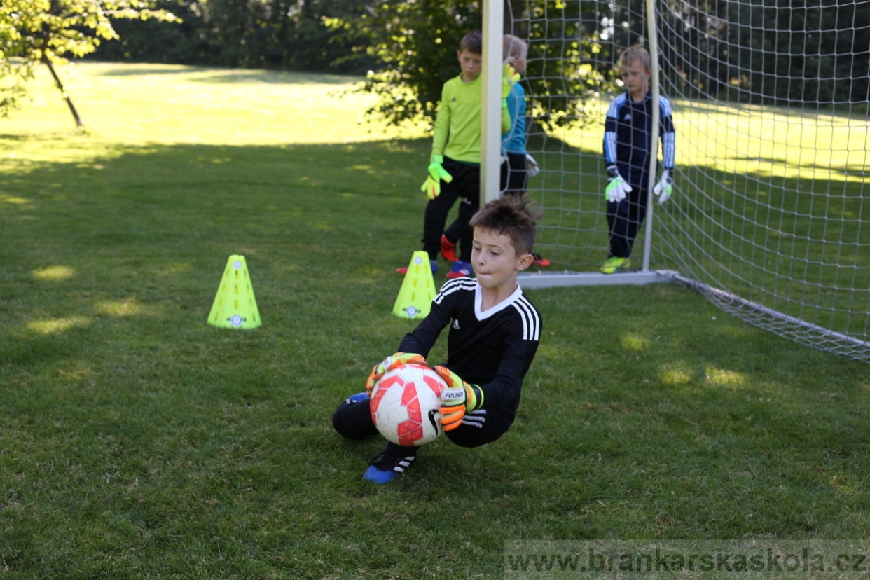 BFŠJCH - Léto 2017 - 30.7.2018