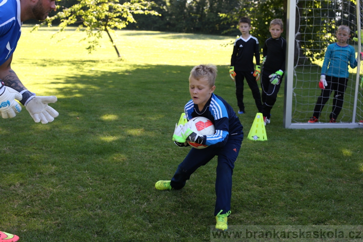 BFŠJCH - Léto 2017 - 30.7.2018