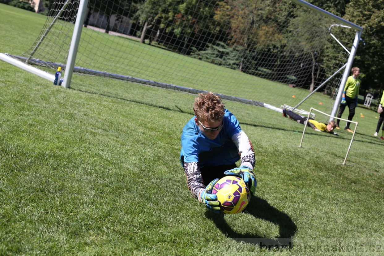 BFŠJCH - Léto 2017 - 30.7.2018