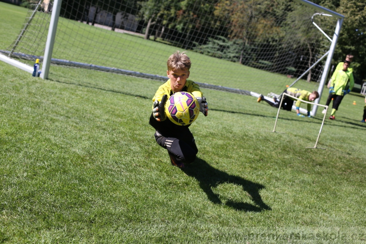 BFŠJCH - Léto 2017 - 30.7.2018