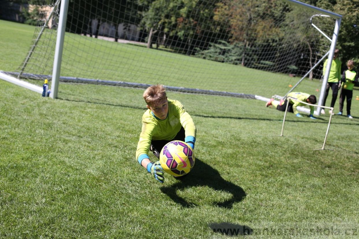 BFŠJCH - Léto 2017 - 30.7.2018