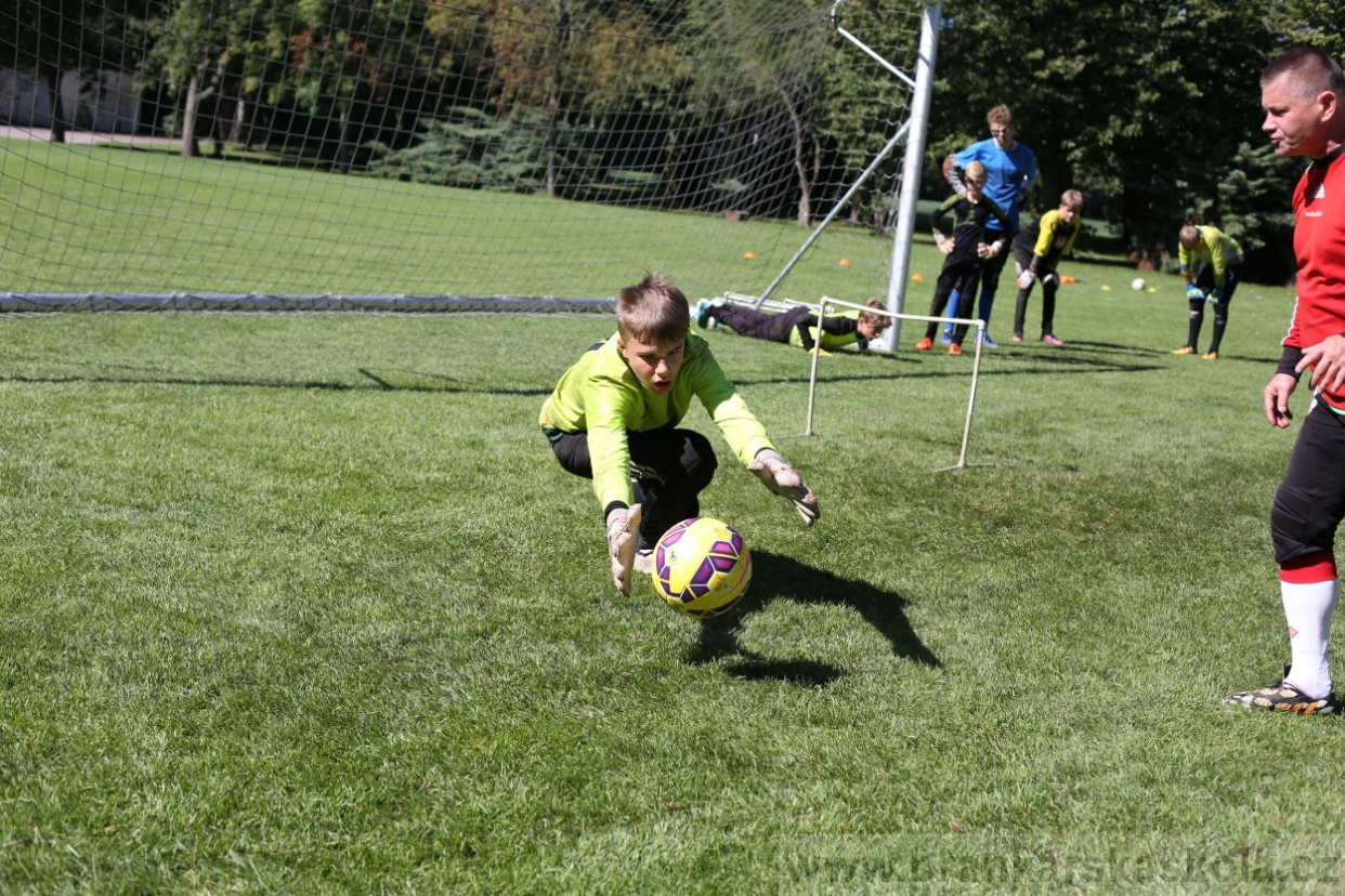 BFŠJCH - Léto 2017 - 30.7.2018