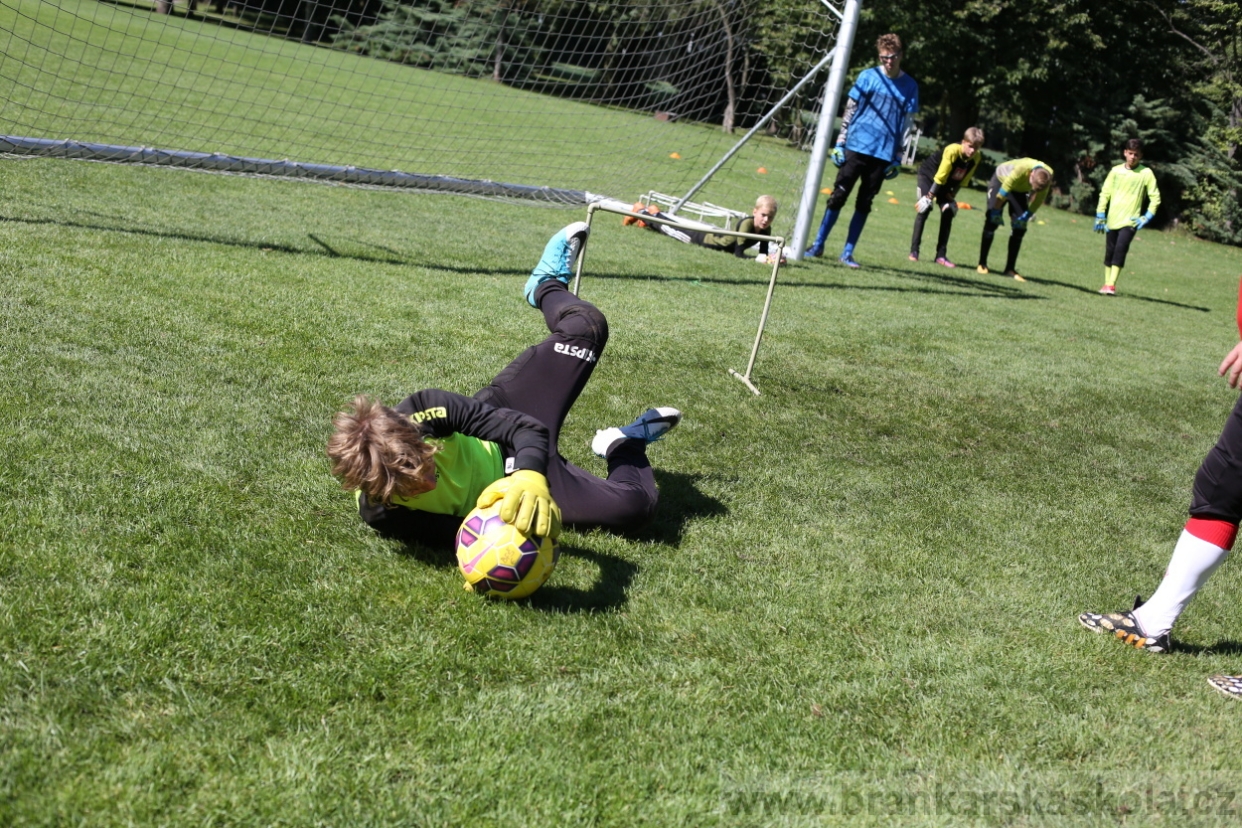 BFŠJCH - Léto 2017 - 30.7.2018