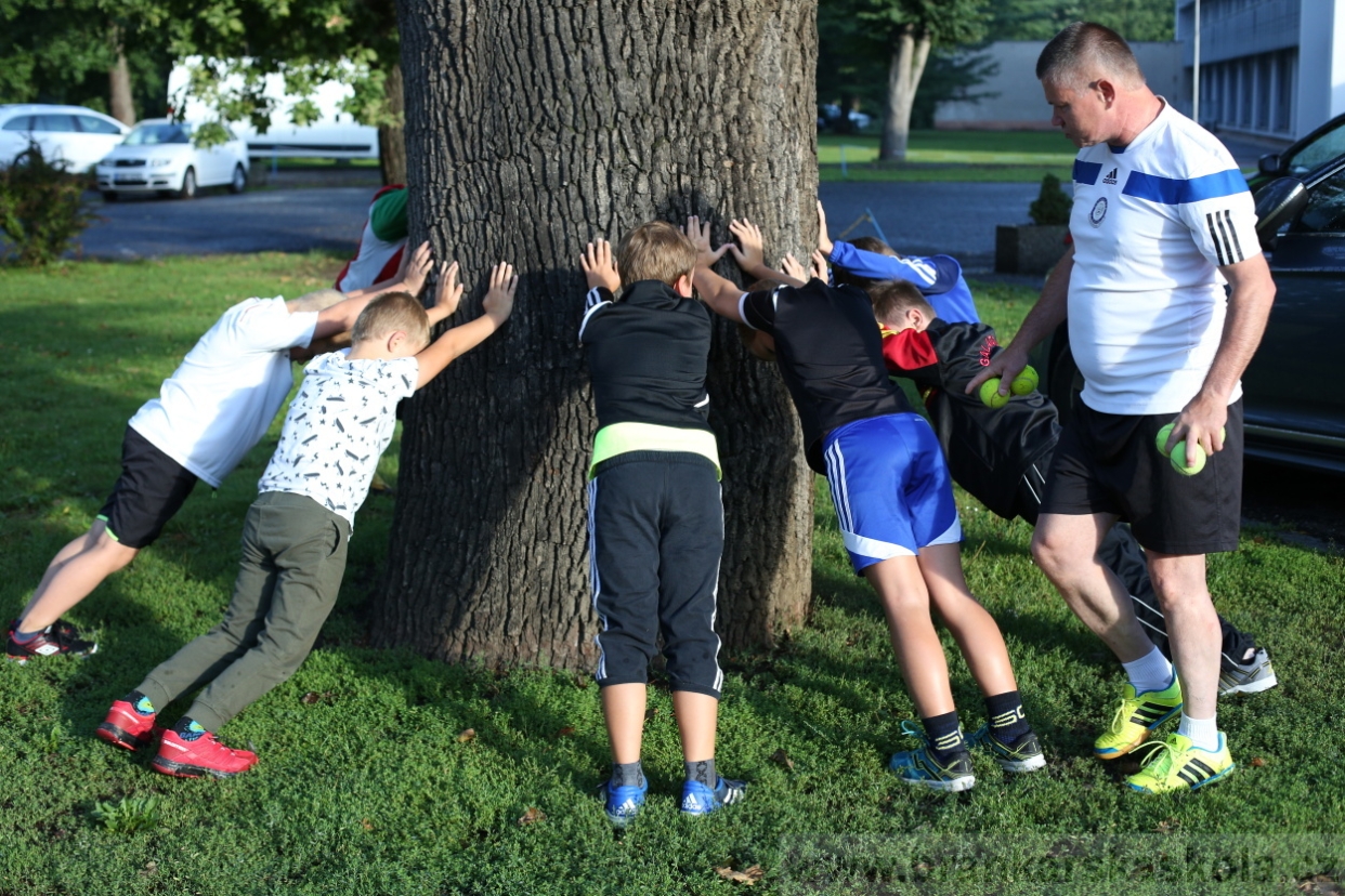 BFŠJCH - Léto 2017 - 30.7.2018