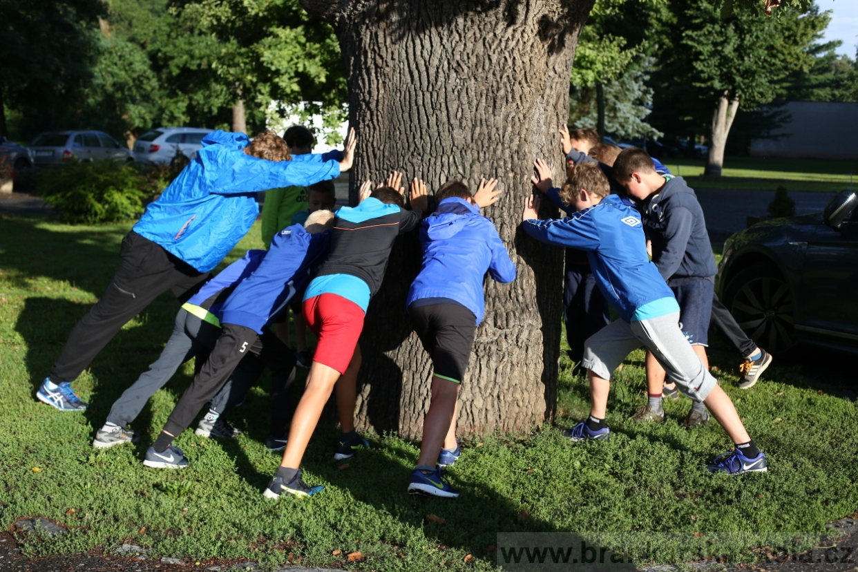 BFŠJCH - Léto 2017 - 30.7.2018