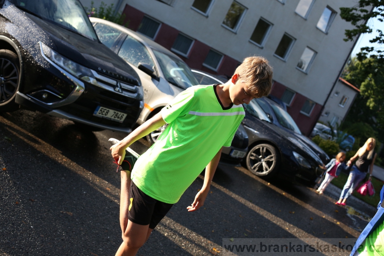 BFŠJCH - Léto 2017 - 30.7.2018