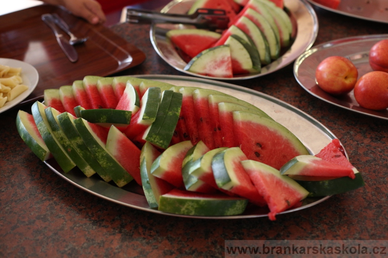 BFŠJCH - Léto 2017 - 30.7.2018