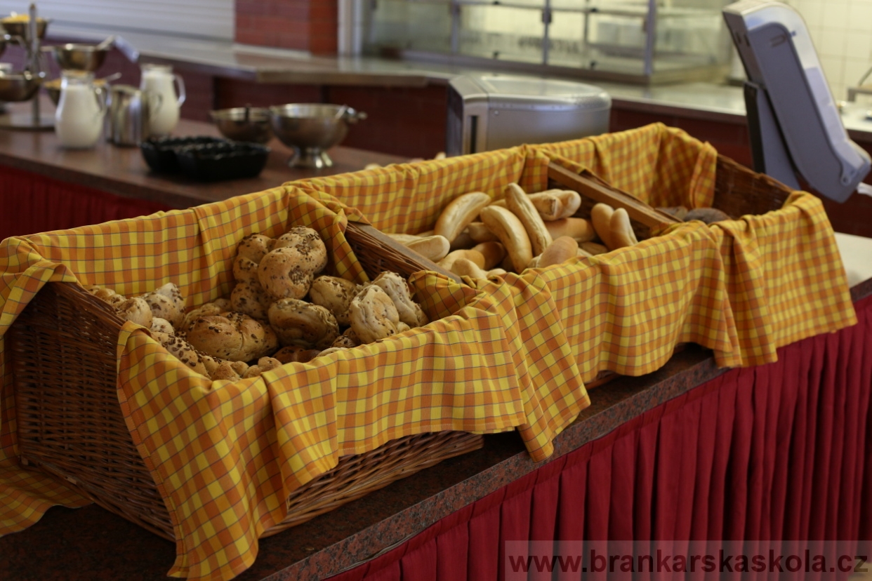 BFŠJCH - Léto 2017 - 30.7.2018