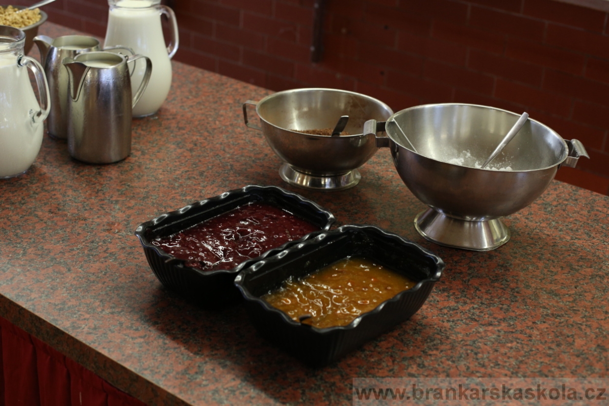 BFŠJCH - Léto 2017 - 30.7.2018