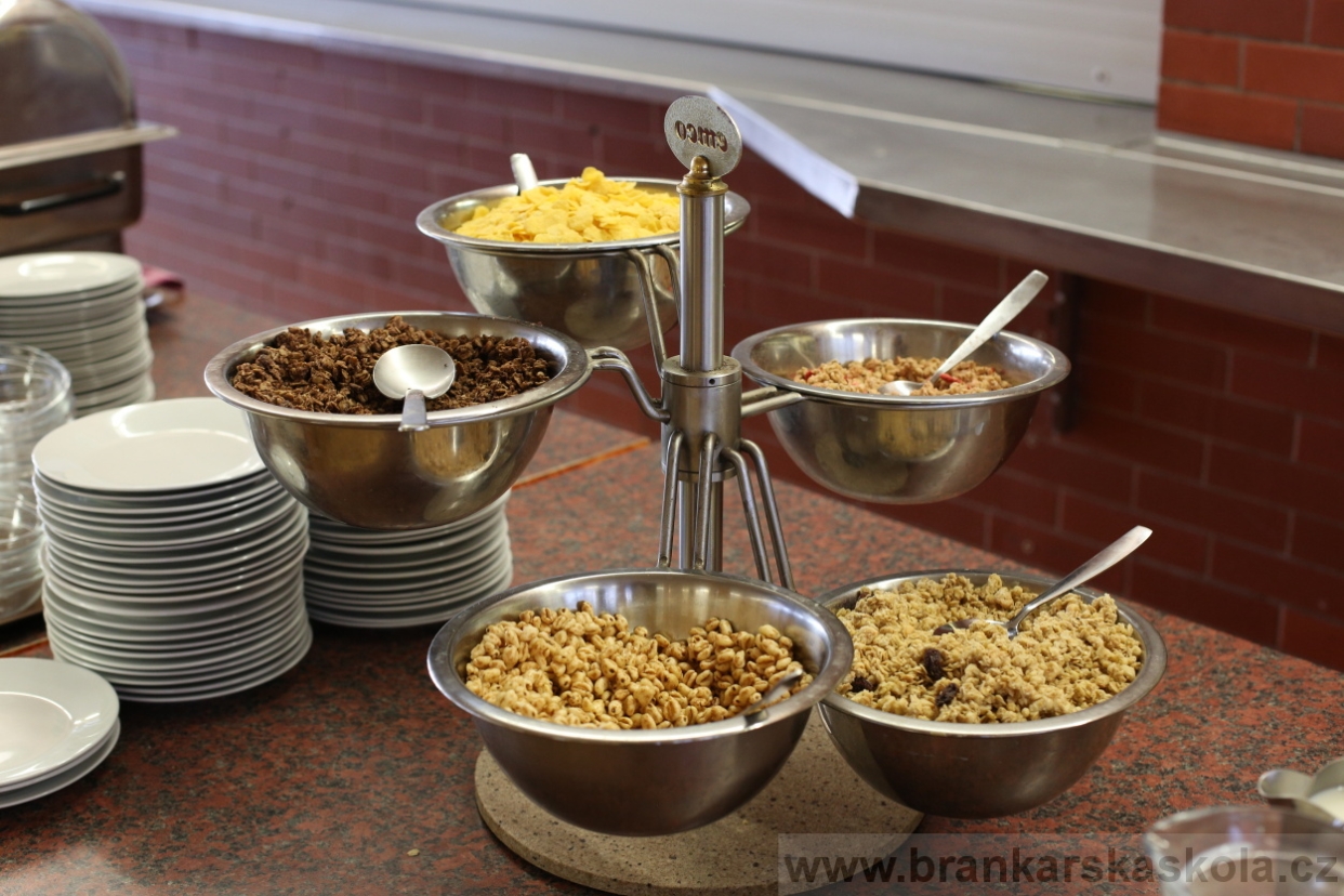 BFŠJCH - Léto 2017 - 30.7.2018