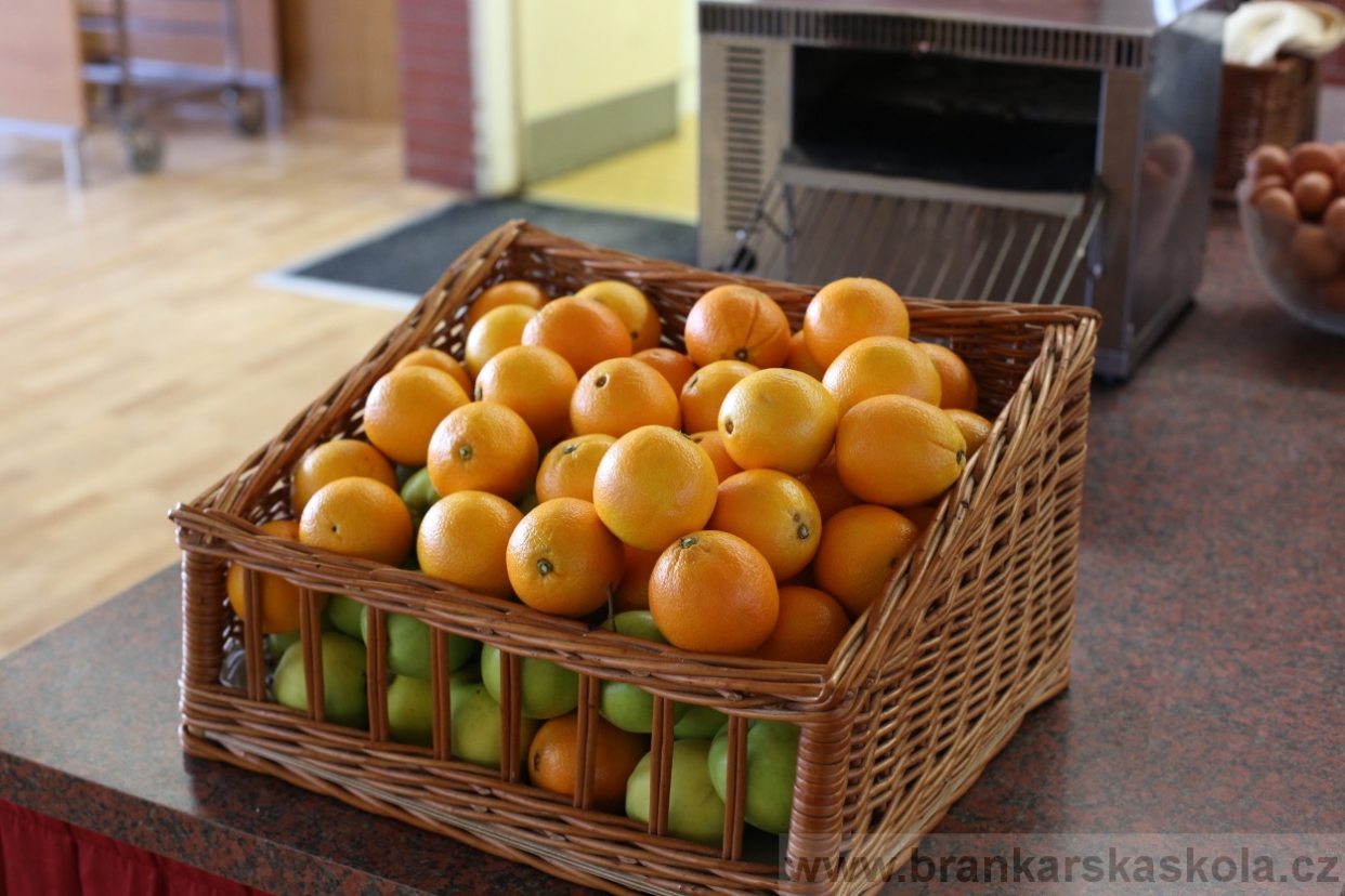 BFŠJCH - Léto 2017 - 30.7.2018