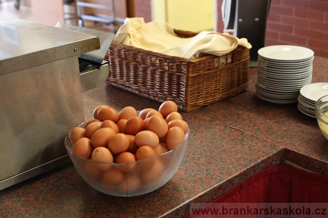 BFŠJCH - Léto 2017 - 30.7.2018