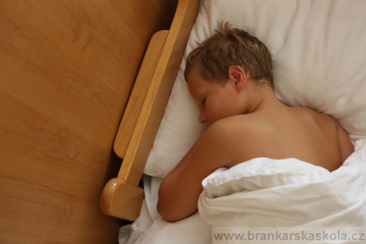 BFŠJCH - Léto 2017 - 30.7.2018