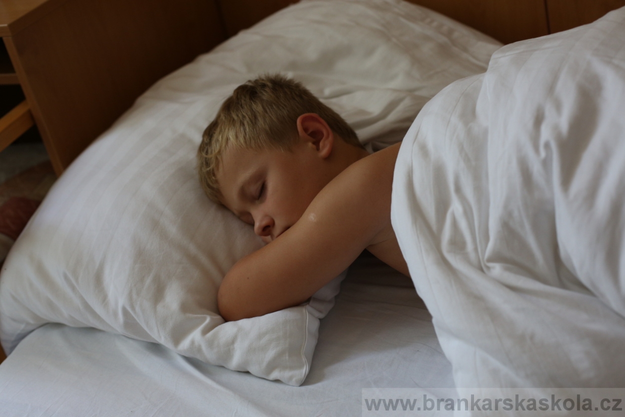 BFŠJCH - Léto 2017 - 30.7.2018