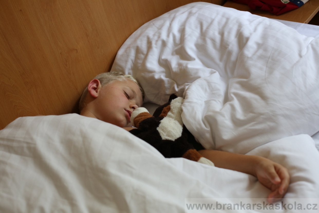 BFŠJCH - Léto 2017 - 30.7.2018