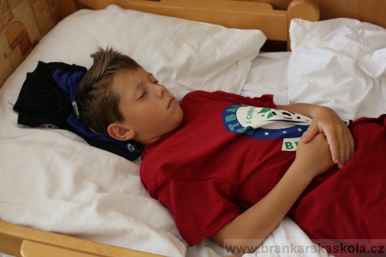 BFŠJCH - Léto 2017 - 30.7.2018