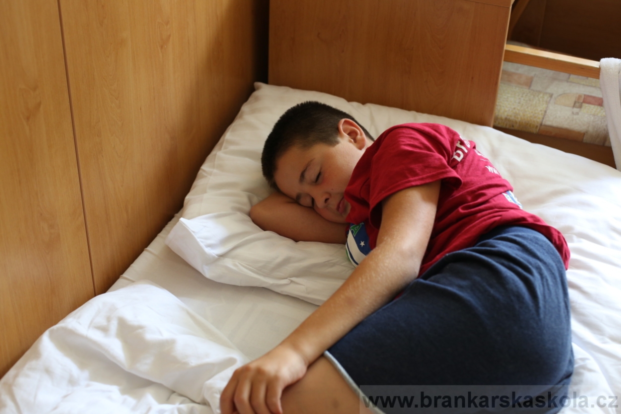 BFŠJCH - Léto 2017 - 30.7.2018