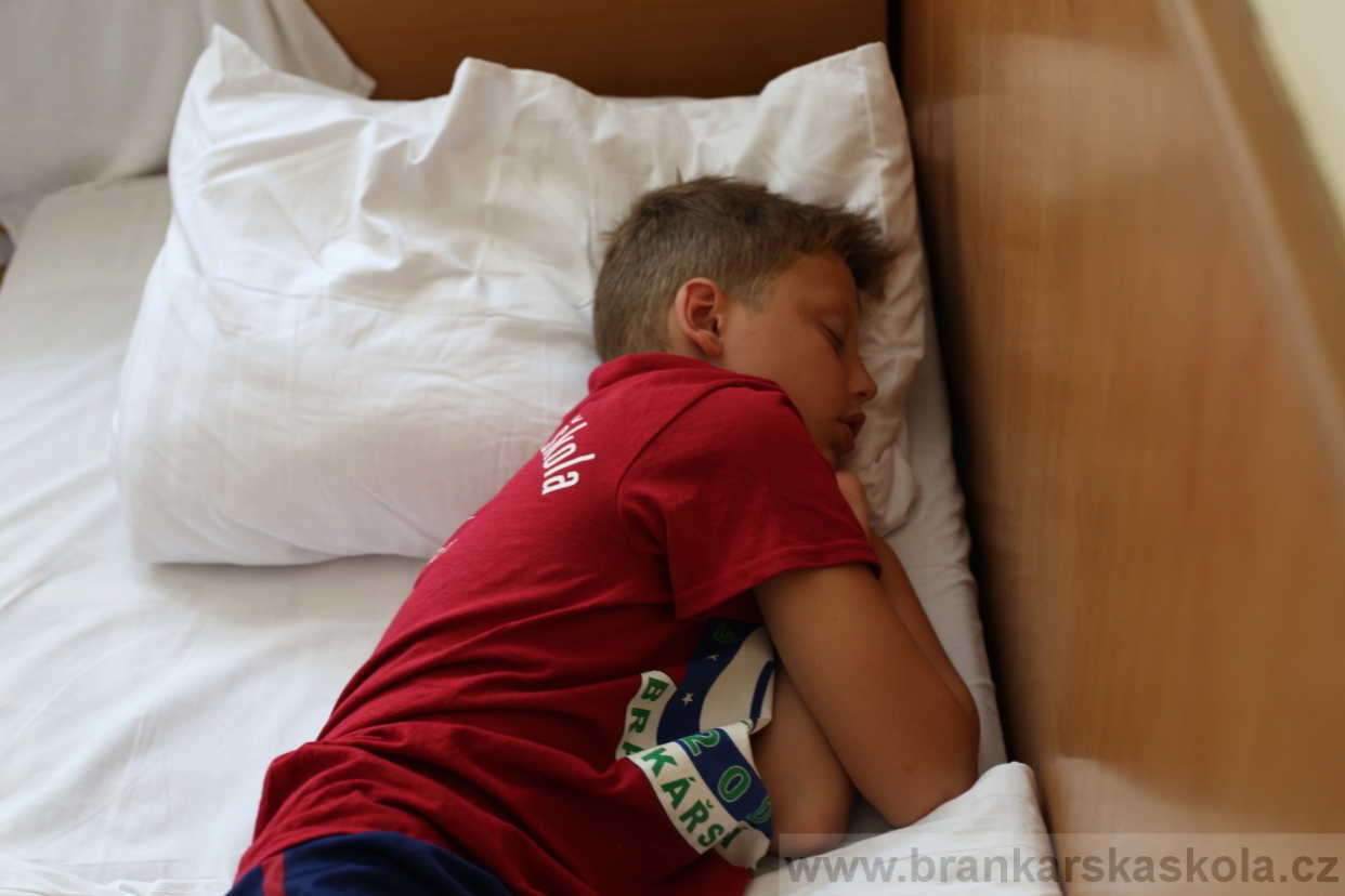 BFŠJCH - Léto 2017 - 30.7.2018