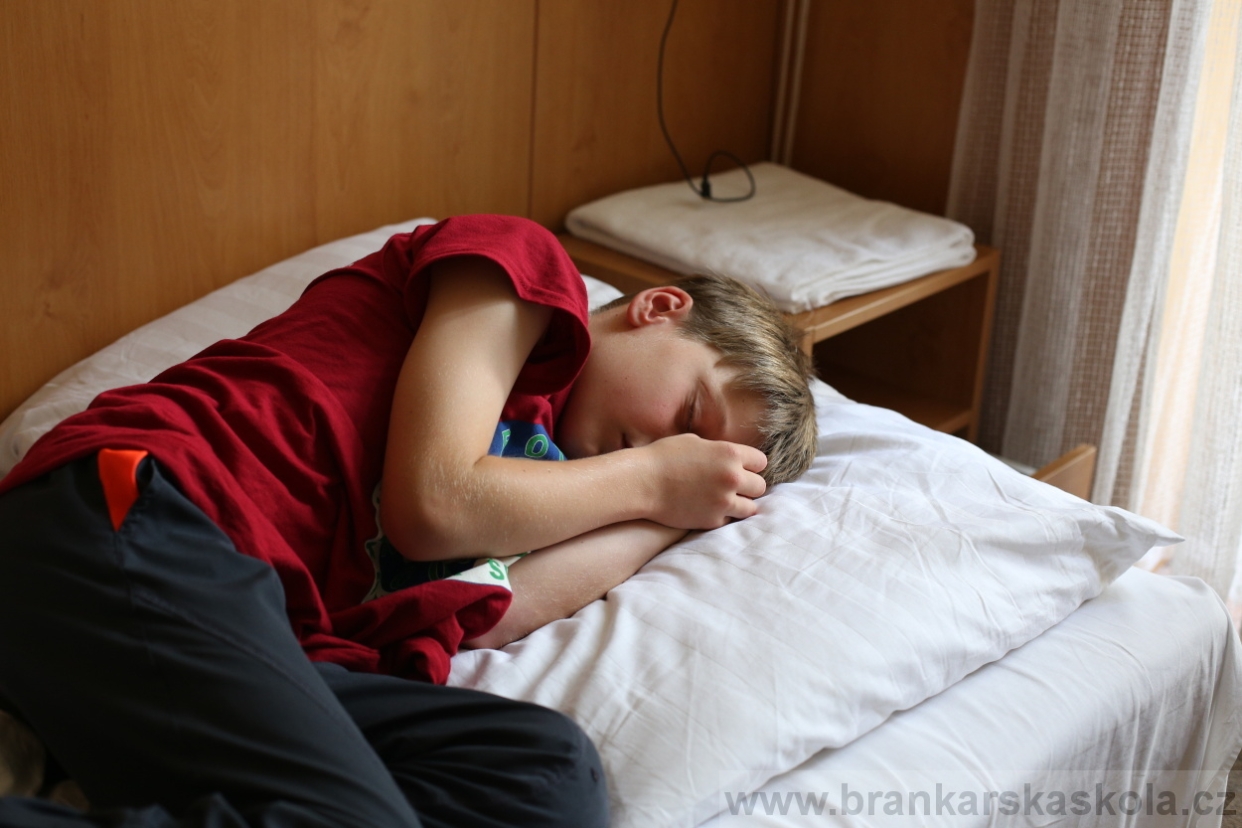 BFŠJCH - Léto 2017 - 30.7.2018