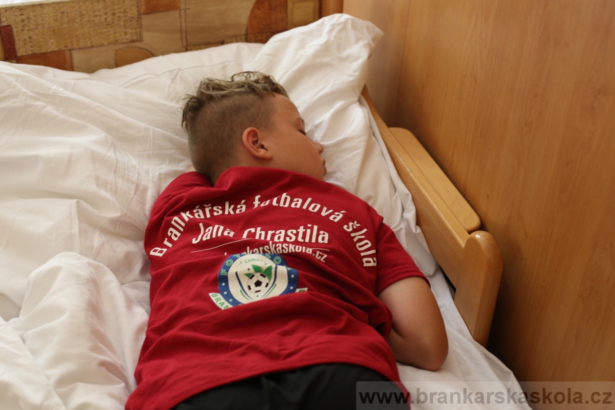 BFŠJCH - Léto 2017 - 30.7.2018