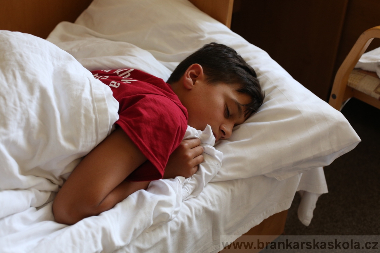 BFŠJCH - Léto 2017 - 30.7.2018