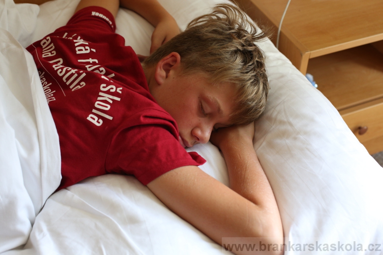 BFŠJCH - Léto 2017 - 30.7.2018