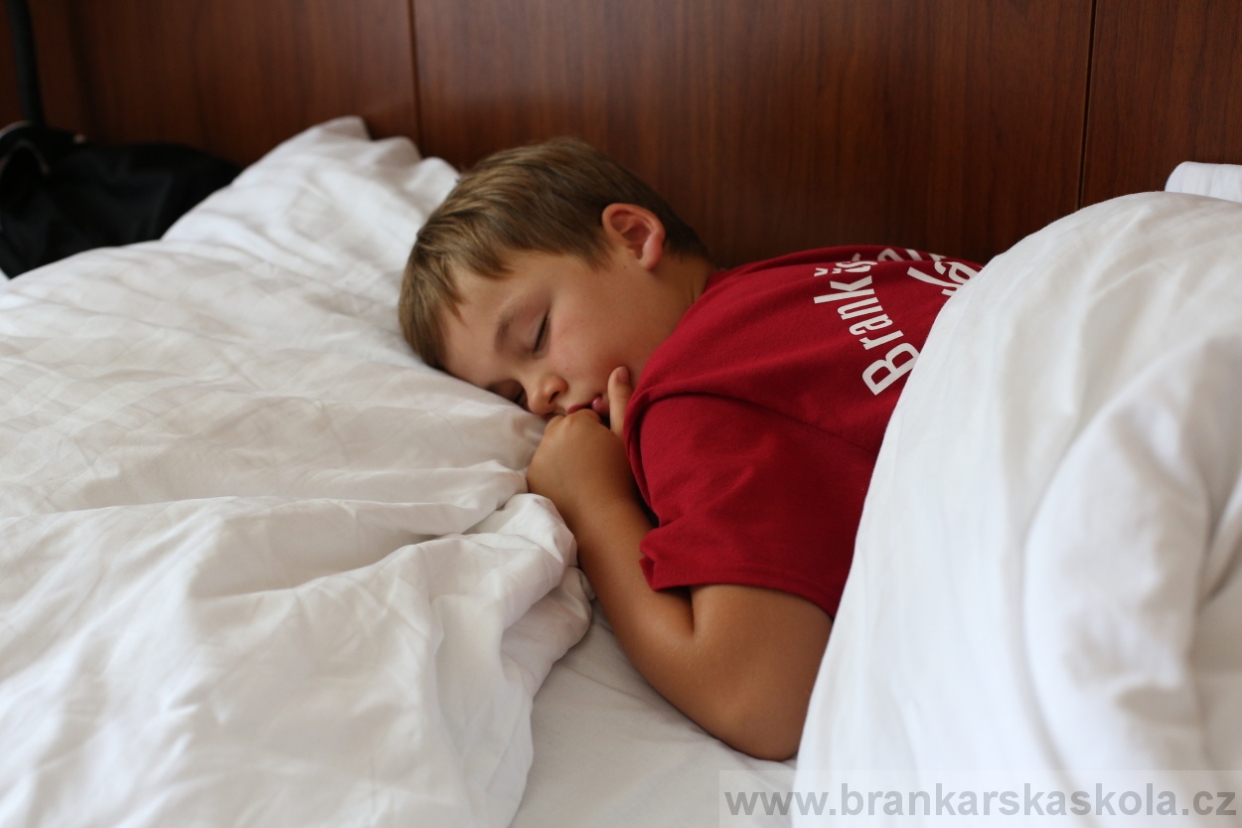 BFŠJCH - Léto 2017 - 30.7.2018