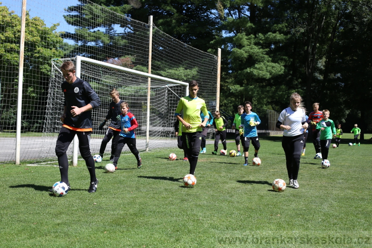 BFŠJCH - Léto 2017 - Sobota 5.8.2017