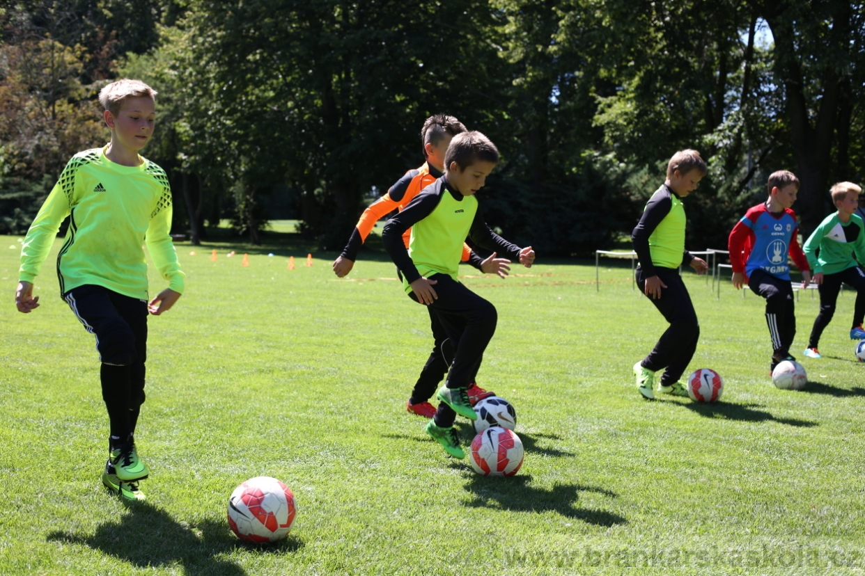 BFŠJCH - Léto 2017 - Sobota 5.8.2017