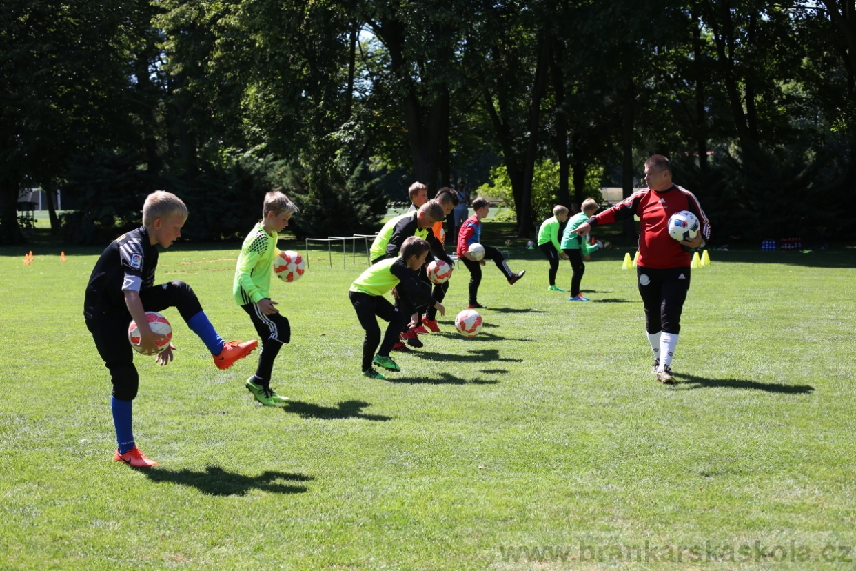 BFŠJCH - Léto 2017 - Sobota 5.8.2017