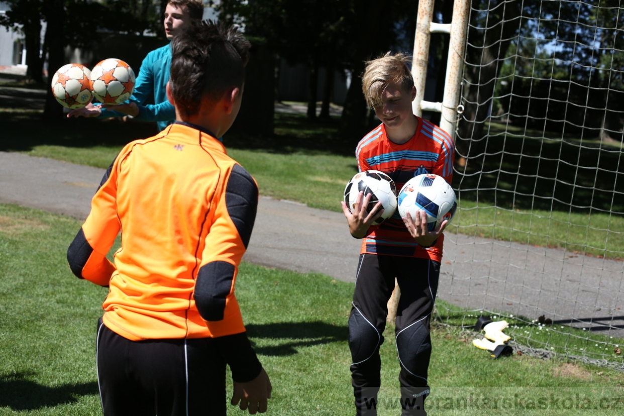 BFŠJCH - Léto 2017 - Sobota 5.8.2017