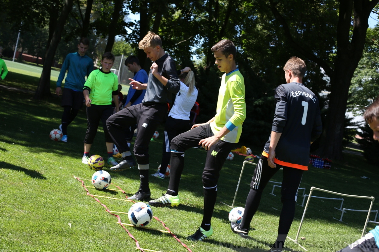 BFŠJCH - Léto 2017 - Sobota 5.8.2017
