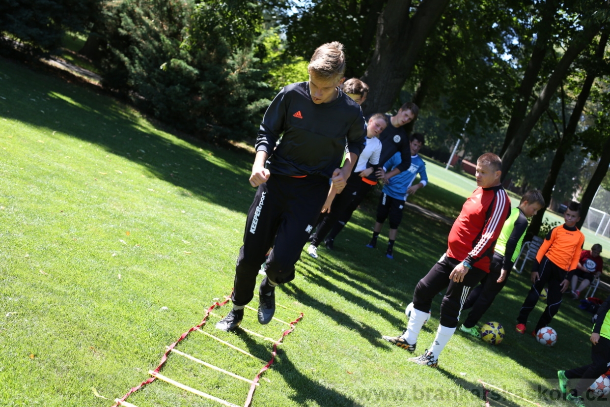 BFŠJCH - Léto 2017 - Sobota 5.8.2017