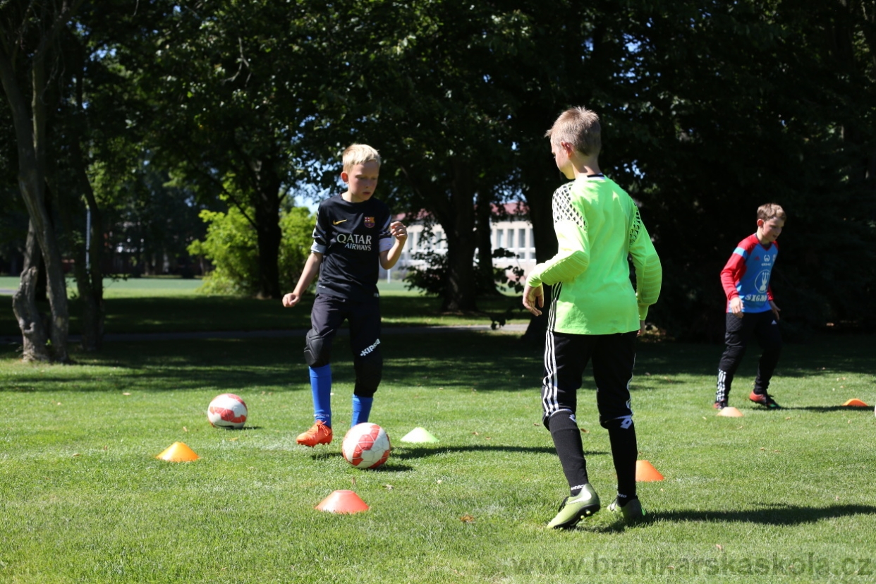 BFŠJCH - Léto 2017 - Sobota 5.8.2017