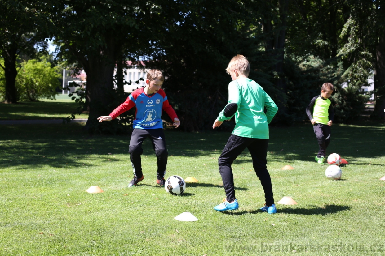 BFŠJCH - Léto 2017 - Sobota 5.8.2017