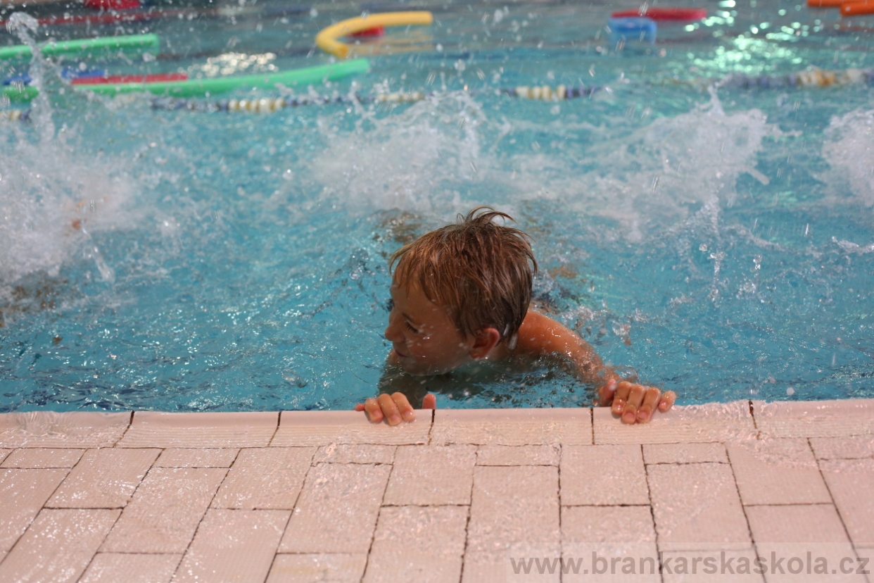 BFŠJCH - Léto 2017 - Sobota 5.8.2017