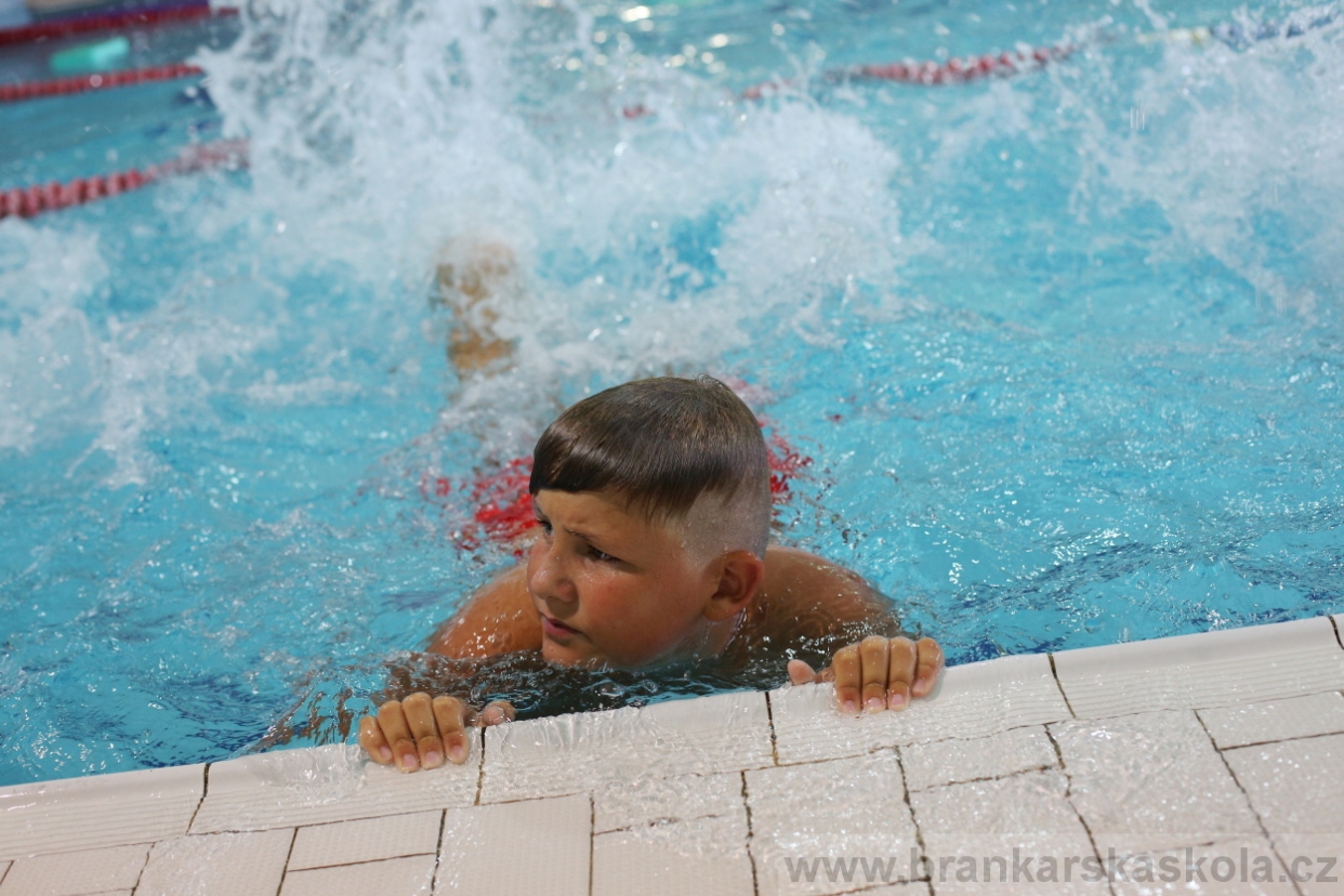 BFŠJCH - Léto 2017 - Sobota 5.8.2017