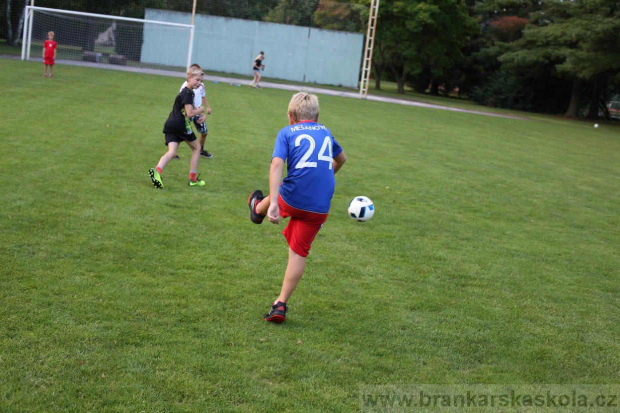 BFŠJCH - Léto 2017 - Sobota 5.8.2017