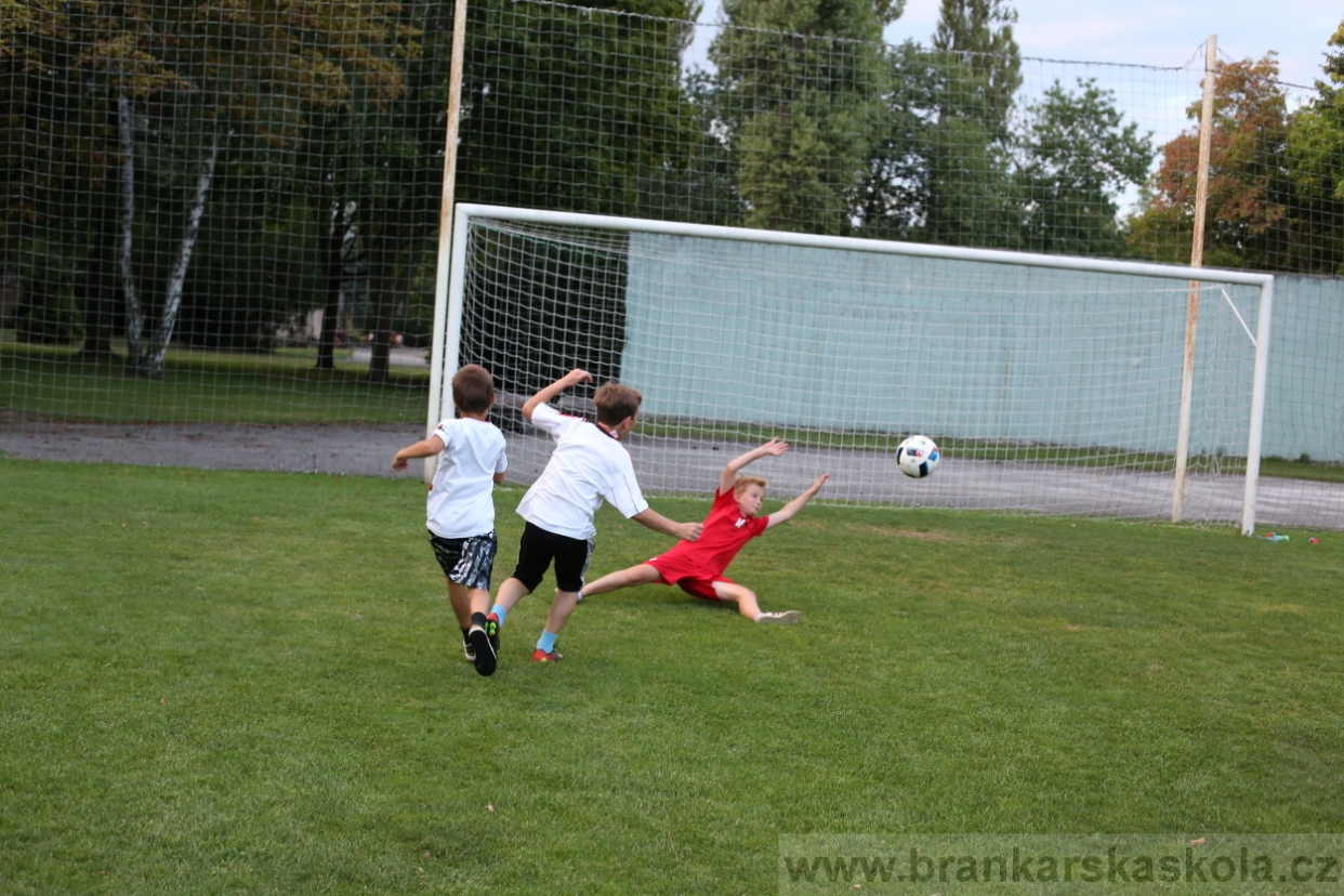 BFŠJCH - Léto 2017 - Sobota 5.8.2017