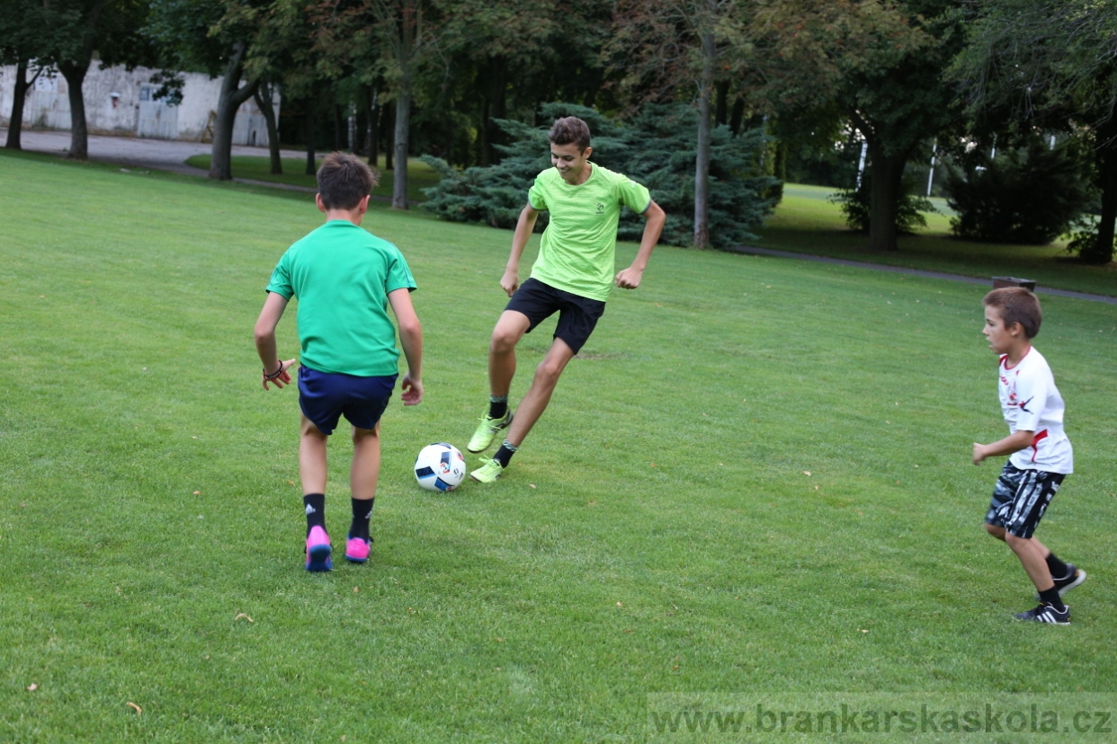 BFŠJCH - Léto 2017 - Sobota 5.8.2017