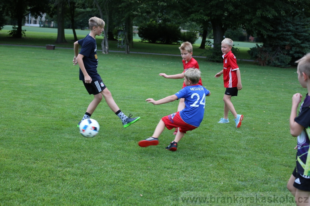 BFŠJCH - Léto 2017 - Sobota 5.8.2017