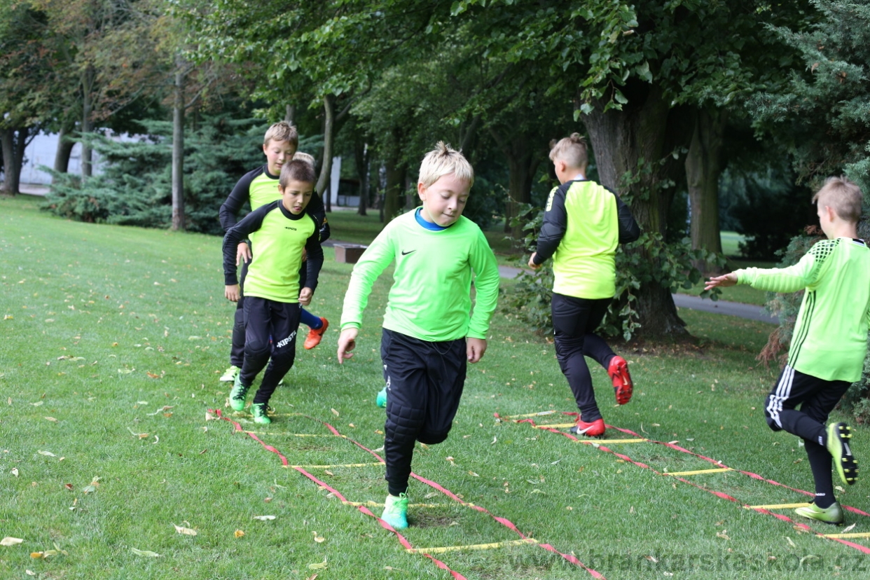 BFŠJCH - Léto 2017 - Neděle 6.8.2017