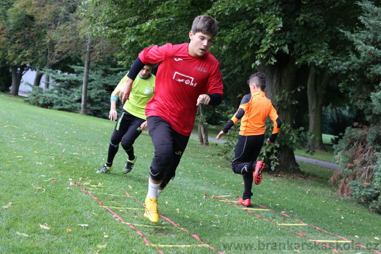BFŠJCH - Léto 2017 - Neděle 6.8.2017