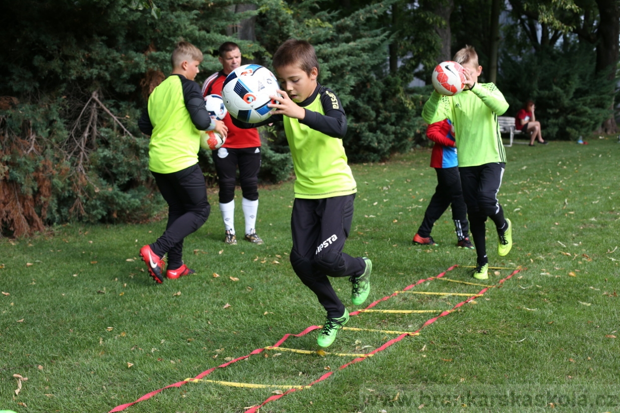 BFŠJCH - Léto 2017 - Neděle 6.8.2017